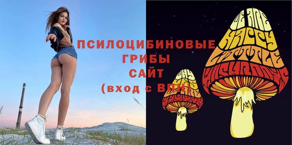 гашиш Переславль-Залесский