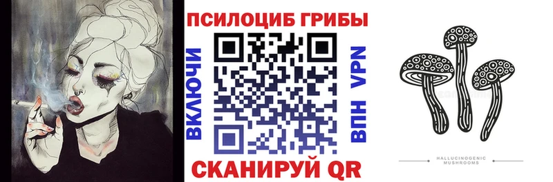 omg онион  Таштагол  Псилоцибиновые грибы Psilocybine cubensis  где купить наркоту 
